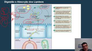 Bioquímica Lipemia [upl. by Einatirb882]