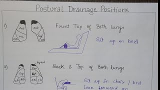 34Postural Drainage Positions With lungs  How to draw positions in exam  All in one video [upl. by Ziza]