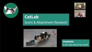 CatLab Scent amp Attachment Research [upl. by Volin]