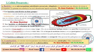 Biologie Cellulaire BCG S1  Chapitre I  Généralités 2ème Partie شرح بالدارجة [upl. by Omixam]