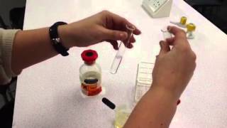 Test for Lipids [upl. by Magnuson]