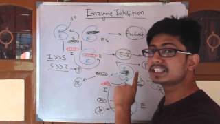 Competitive inhibition and noncompetitive inhibition [upl. by Ileek441]