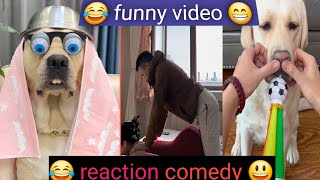 funny video l reaction comedy l फनी वीडियो l रिएक्शन कॉमेडी l reaction shorts l New reaction video l [upl. by Crane]