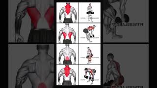 Want Wider Back Do these exercises phonk automobile music drift phonkmusic phonkinstrumental [upl. by Ziom292]