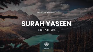 Surah Yaseen  Qari Tareq Mohammed  سورة يس  القارئ طارق محمد [upl. by Enerod]