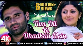 Tum Dil Ki Dhadkan Mein Rehte Ho  Dhadkan Movie Song  Shilpa Shetty Video  New Song Collection [upl. by Aicrop]