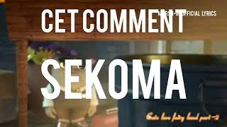 Sekoma by chriss Eazy lyrics [upl. by Nirrol336]