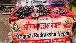 Original Rudraksh Fruit  नेपाल के फल मे देखिये कैसे रुद्राक्ष निकलते हें 😱🫢 mahakal rudraksh [upl. by Esmerolda747]