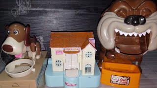 Lets Play Cute dog ASMR 🎉🥰❤️ asmr dog dogeatcoins angrydog doginahouse [upl. by Curtice]