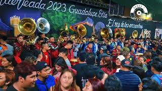 Banda Pequeña Del Valle ft Los Aliados de la Banda quot Las Marmotas El Abejorroquot [upl. by Tega]