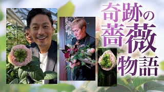 【必見】坂東工が贈る“奇跡の薔薇”物語 世界にひとつだけのバラ誕生ストーリーテアトロrose rosa miracle バチェラーバチェロレッテ坂東さん前谷裕一ばらドキュメンタリー [upl. by Robbie]