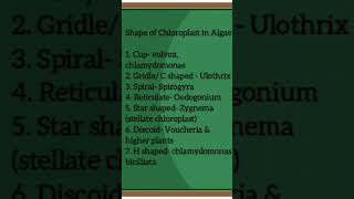 algae। shape of chloroplast। easy biology। basic shorts youtubeshorts [upl. by Lucier602]