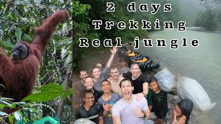 Worth it Long Journey from Austria for jungle trekking in Gunung Leuser National Park bukitlawang [upl. by Garv]