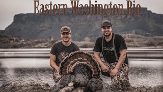 EASTERN WASHINGTON TURKEY HUNT WITH RYAN POLOWAY [upl. by Leona828]