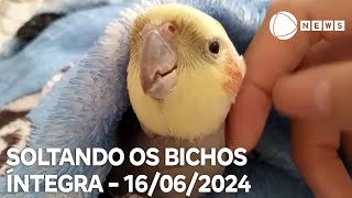 Soltando os Bichos  16062024 [upl. by Enialahs]