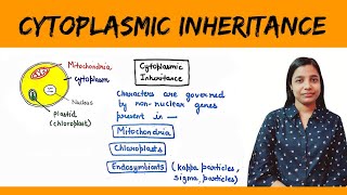 Cytoplasmic inheritance  Maternal Inheritance  Maternal Effect [upl. by Arretal43]