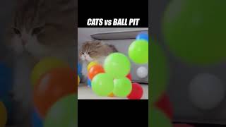 They just keep falling from the sky kittisaurus cats ballpit challenge [upl. by Tychon]