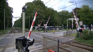 Spoorwegovergang DriebergenZeist  Dutch railroad crossing [upl. by Okiruy]