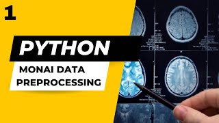 Preprocessing 3D Volumes for Tumor Segmentation using PyTorch and MONAI  Part 12 [upl. by Culhert]