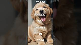 The Most Popular Dog Names of 2024 unique puppy names [upl. by Esekram]