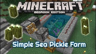 Tutorial The Pickle Machine  super simple sea pickle farm for Minecraft Bedrock Edition [upl. by Dixie]