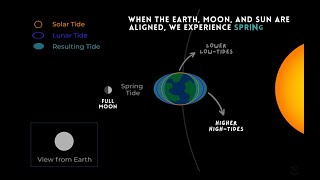 How Do Ocean Tides Form [upl. by Dorkas]