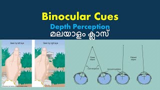 Binocular Cues  IGNOU and MG University Syllabus [upl. by Alexio]