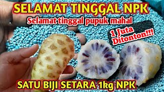 Luar biasa Saya terkejut dengan hasilnya Cara membuat pupuk NPK mutiara 161616 [upl. by Alicirp765]