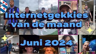 De Internetgekkies van de maand Juni 2024 [upl. by Ennasirk]