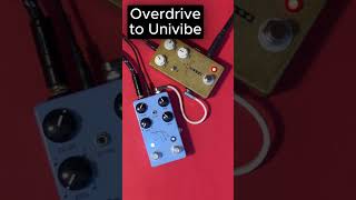 Univibe to Overdrive to Univibe [upl. by Fogarty81]