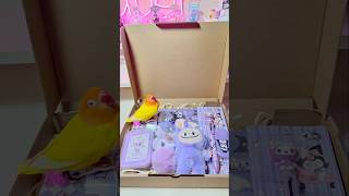 Kuromi amp Bird🦜📦 sanrio kuromi mymelody hellokitty cinnamoroll cute japan shorts asmr fyp [upl. by Leroy]