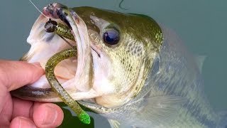 Jerkbaits to Finesse Fishing  Unlocking the Bass Pattern at Loch Raven Reservoir [upl. by Ardiek]