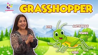 Grasshopper  Body Parts  Types of Grasshoppers  Nursery Rhyme  Preschool Learning  Learning Box [upl. by Sined666]