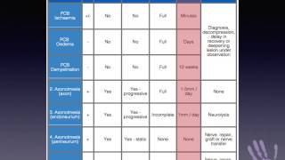 1 minute masterclass Management of nerve injury by grade [upl. by Hittel]