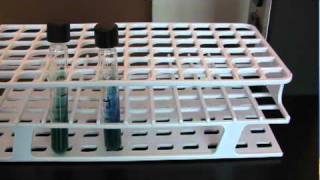 BIO 2192 UNIT 8  Citrate Test [upl. by Anissa]