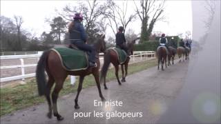 Ecole des Courses Hippiques de MontdeMarsan  Concours 2017 [upl. by Knutson]