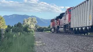 BNSF train 70 date August 3th 2023 a EMD SD70ACe BNSF coal train pass southbound CO BNSF [upl. by Domonic548]