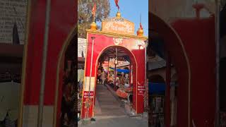 Chitai golu mandir in Almora chitaigolumandir chitaigolu almora uttarakhand trending [upl. by Flinn]