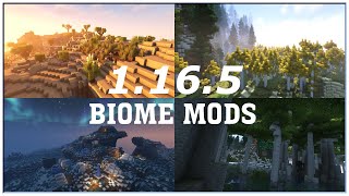 Best 1165 Biome Mods Forge  Minecraft Cinematic Showcase [upl. by Zetroc]