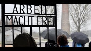 SACHSENHAUSEN AfDGruppe provoziert Besuchsabbruch in KZGedenkstätte [upl. by Kermy]