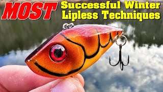 Most Successful Lipless Techniques For Cold Water [upl. by Adnocahs]