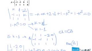 ¿Cómo calcular el valor de una matriz según un parámetro Ejemplo resuelto [upl. by Eserahc]