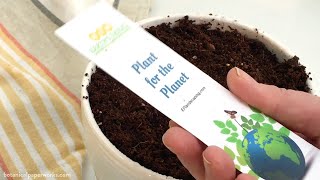 Read amp Grow With Plantable Bookmarks [upl. by Bradan]