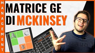 MATRICE GE cosè COME SI USA e perché la matrice MCKINSEY è importante [upl. by Nirtiak]