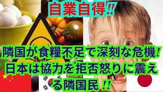 【海外の反応】自業自得‼︎隣国が食糧不足で深刻な危機日本は協力を拒否怒りに震える隣国民 [upl. by Pember]