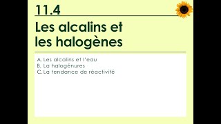 114  Les alcalins et les halogènes [upl. by Kylynn]