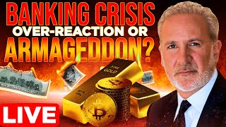 Peter Schiff interview  Banking Crisis Armageddon vs Bitcoin [upl. by Assitruc]