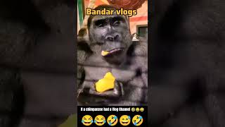 If a chimpanzee had a YouTube Vlog Channel 😅😂🤣 meme funny comedy funnydub dub hindidub djain [upl. by Asilehc]