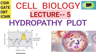 CELL BIOLOGY HYDROPATHY PLOT  CSIR NET  GATE  DBT ICMR [upl. by Felicdad398]