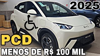 BYD DOLPHIN MINI 2025  PRIMEIRO CARRO ELÃ‰TRICO PARA PCD NO BRASIL [upl. by Nylrebmik713]